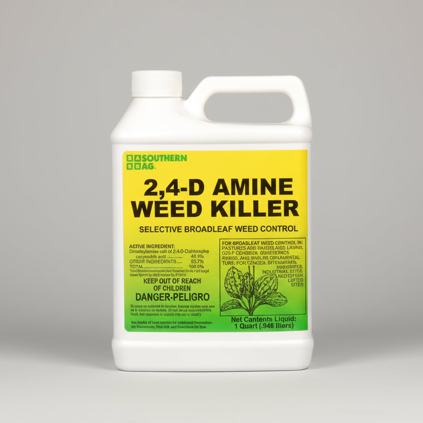 Fall Weeds