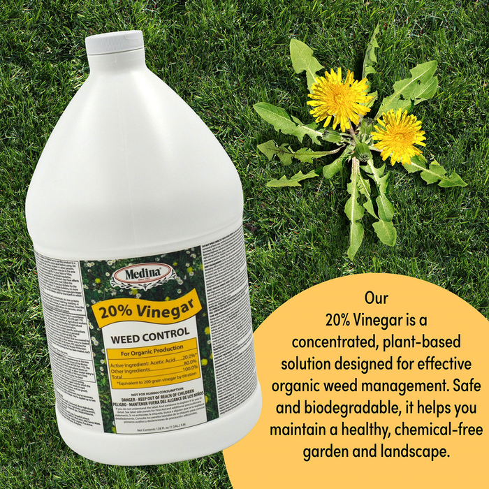 20% Vinegar Weed Control