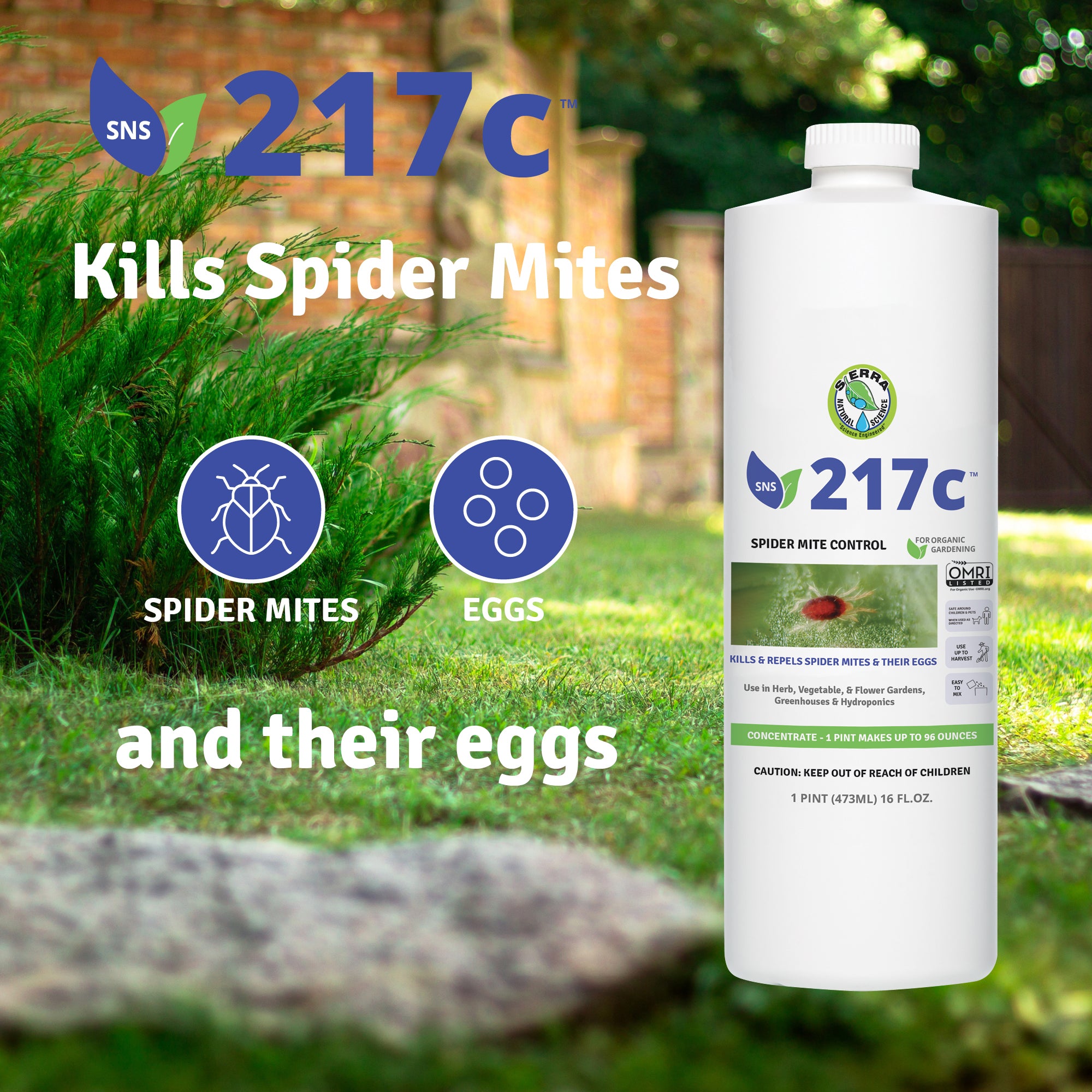 217C Spider Mite Control Concentrate - OMRI Listed