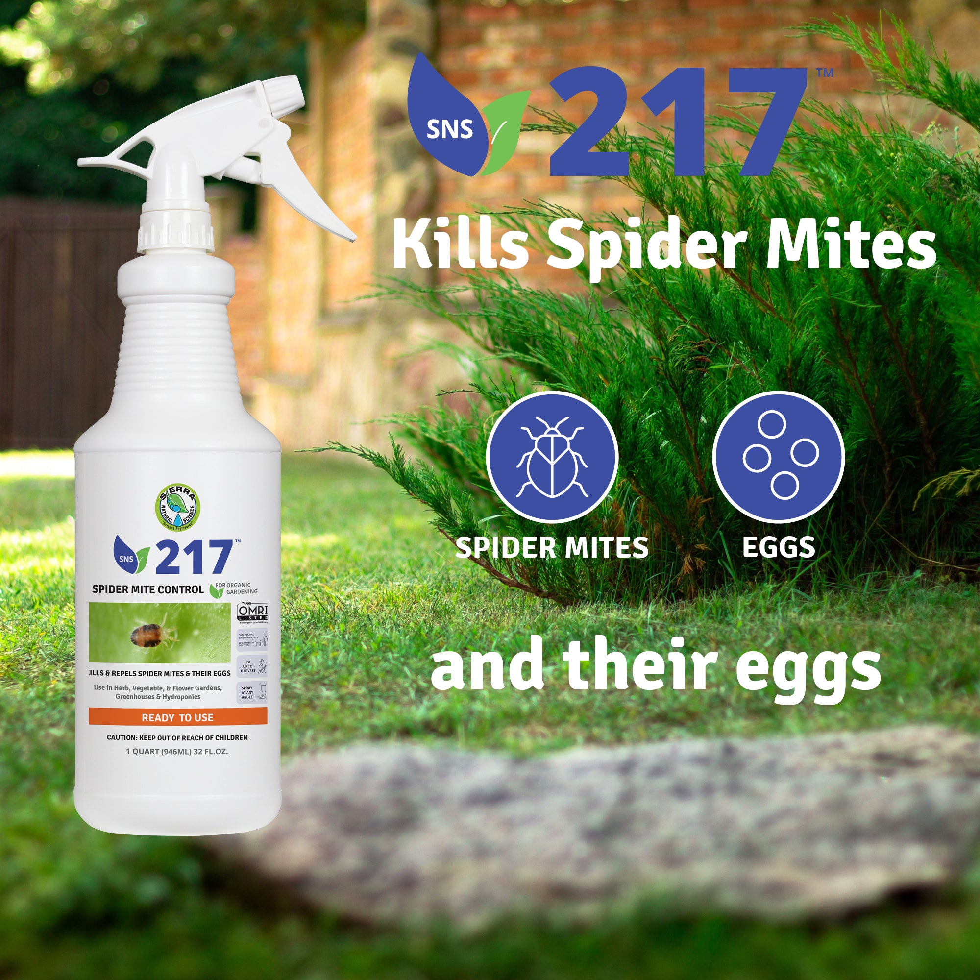 244 Fungicide Ready-To-Use