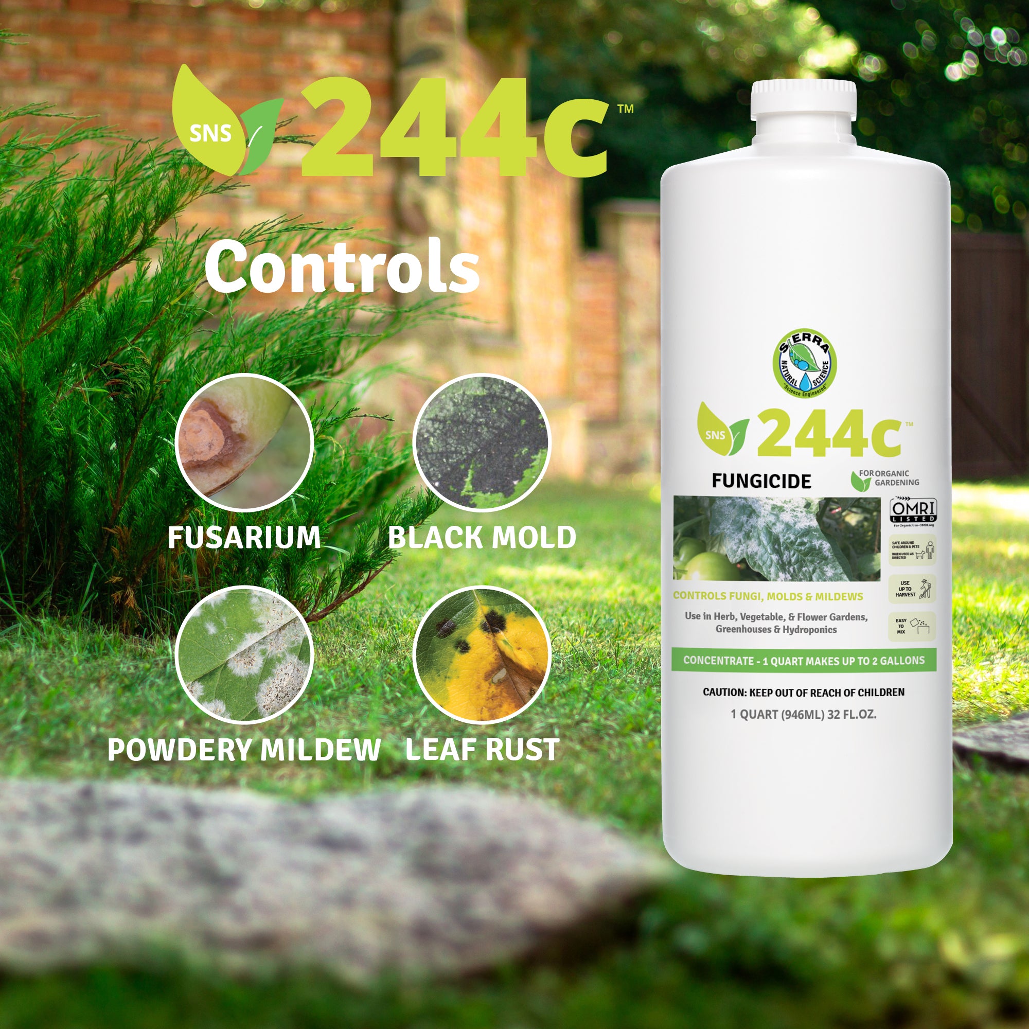 244C Fungal Control Concentrate - OMRI Listed