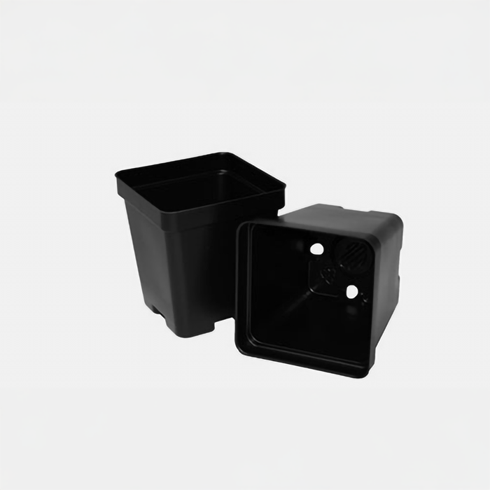 3.25 Inch Pint Square Deep Pots