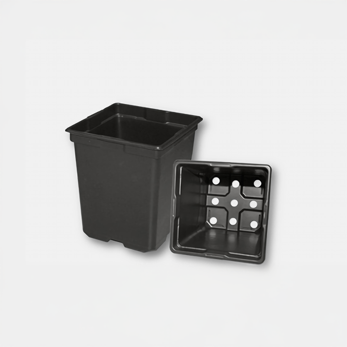 5.5-Inch Sqare 2-Quart Deep Pots