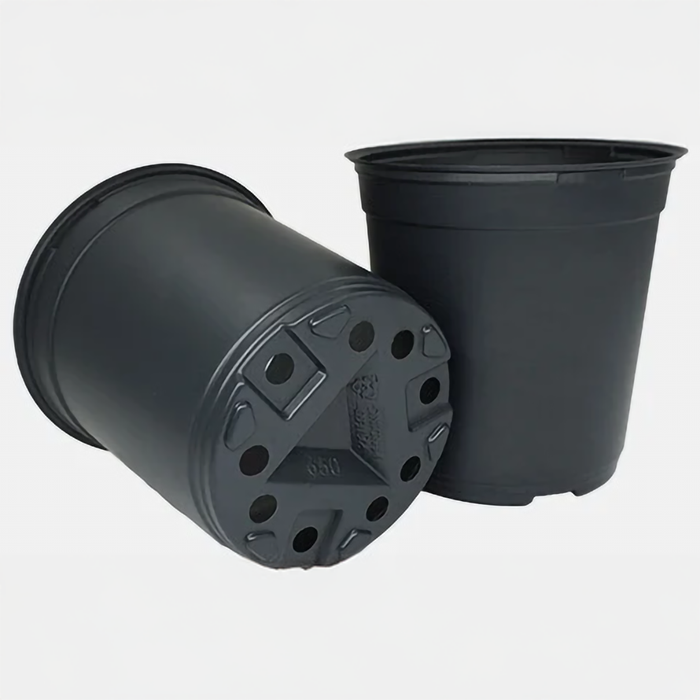 Trade Gallon 6.5"