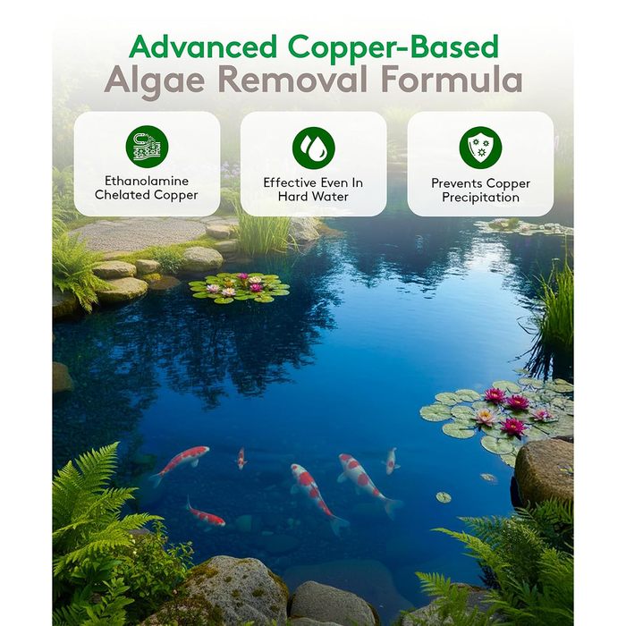 Argos Algaecide & Herbicide 9% Copper