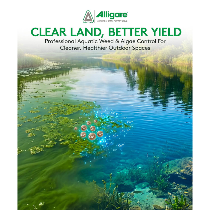 Argos Algaecide & Herbicide 9% Copper