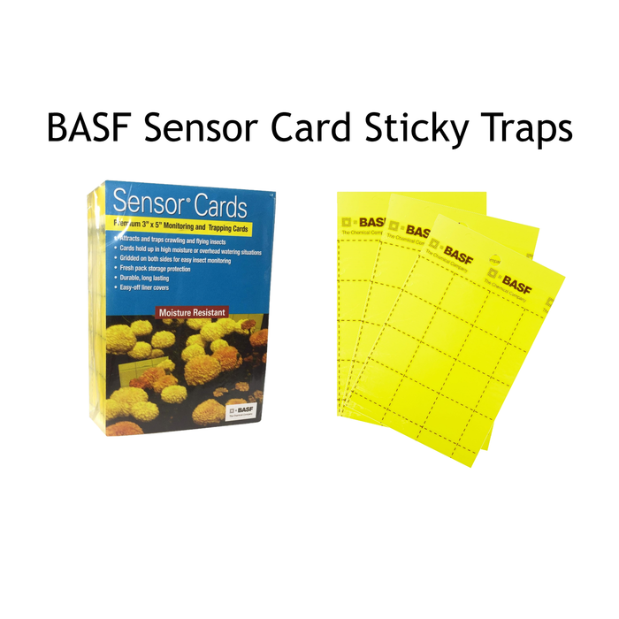 Sensor Yellow Sticky Cards For Monitoring Plant Insects by BASF