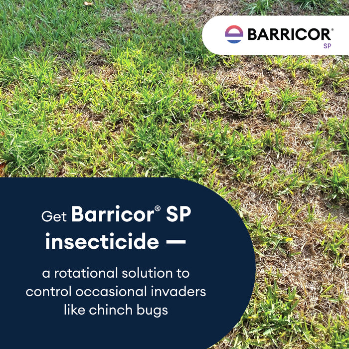 Barricor SP Broad Spectrum Insecticide