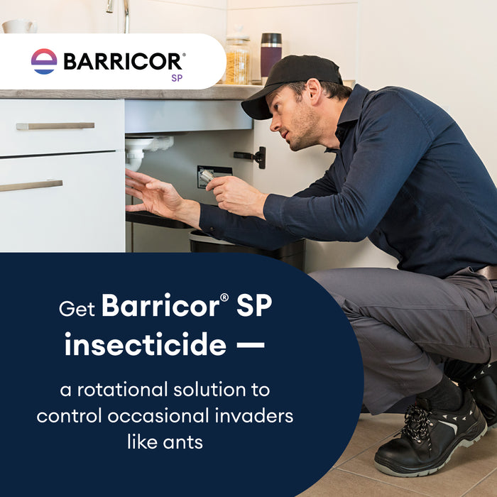 Barricor SP Broad Spectrum Insecticide