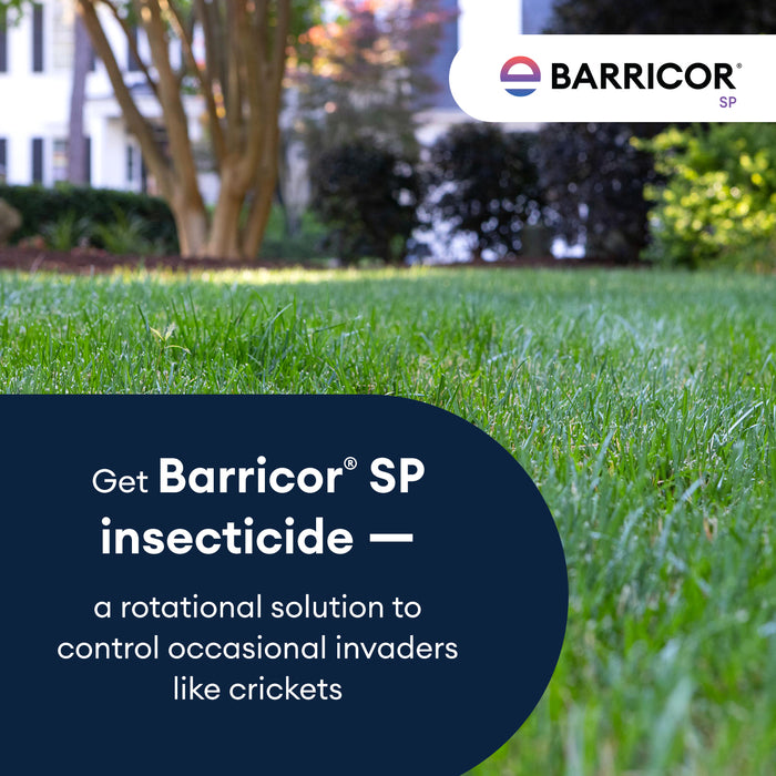 Barricor SP Broad Spectrum Insecticide