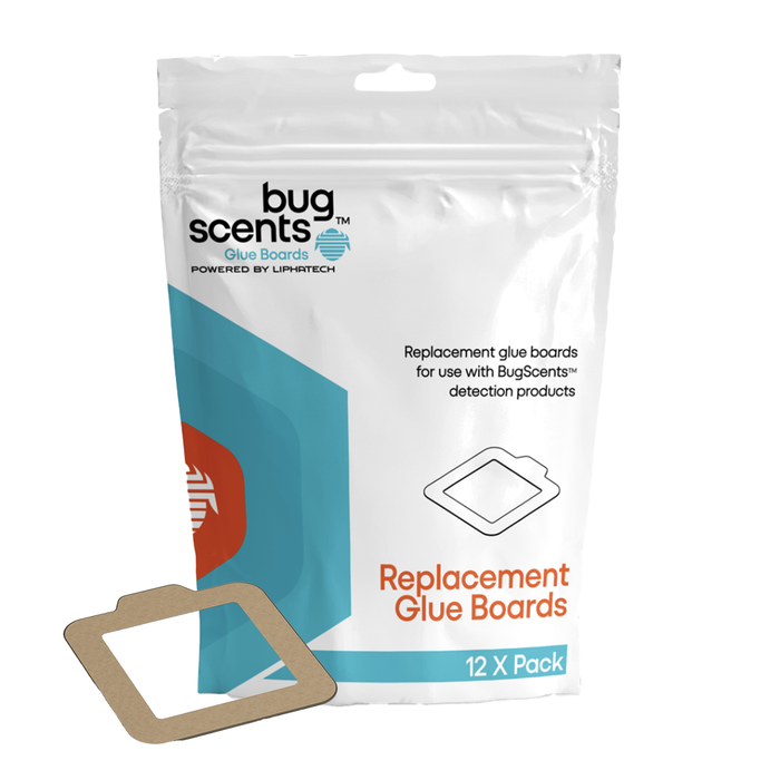 BugScents Bed Bug Replacement Glue Boards
