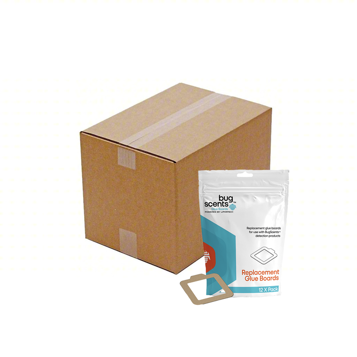 BugScents Bed Bug Replacement Glue Boards
