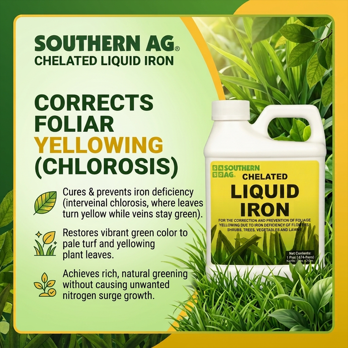 Chelated Liquid Iron