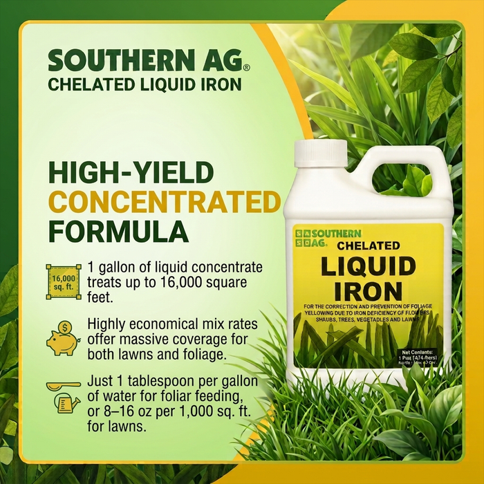 Chelated Liquid Iron
