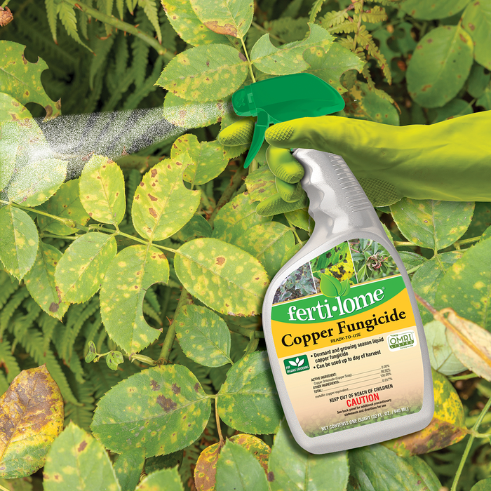 Ferti-lome Copper Fungicide RTU Spray - OMRI Listed
