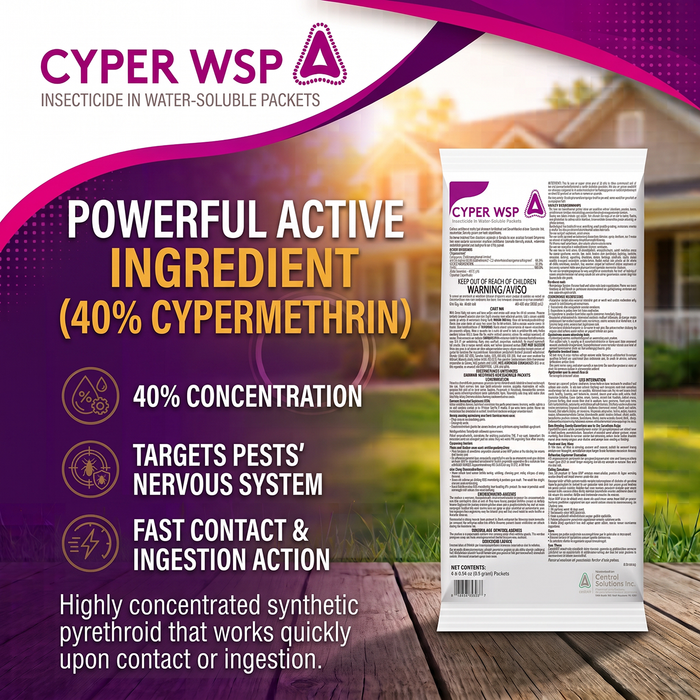 Cyper WSP