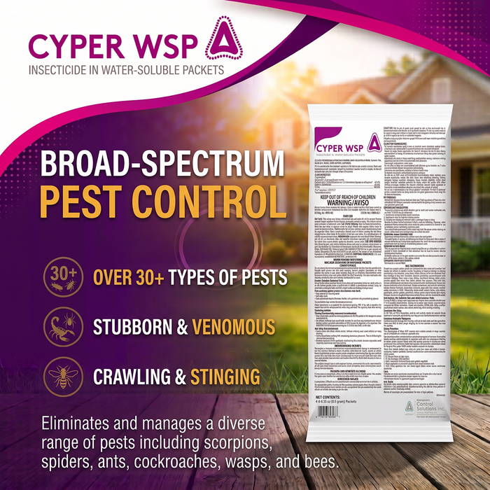 Cyper WSP