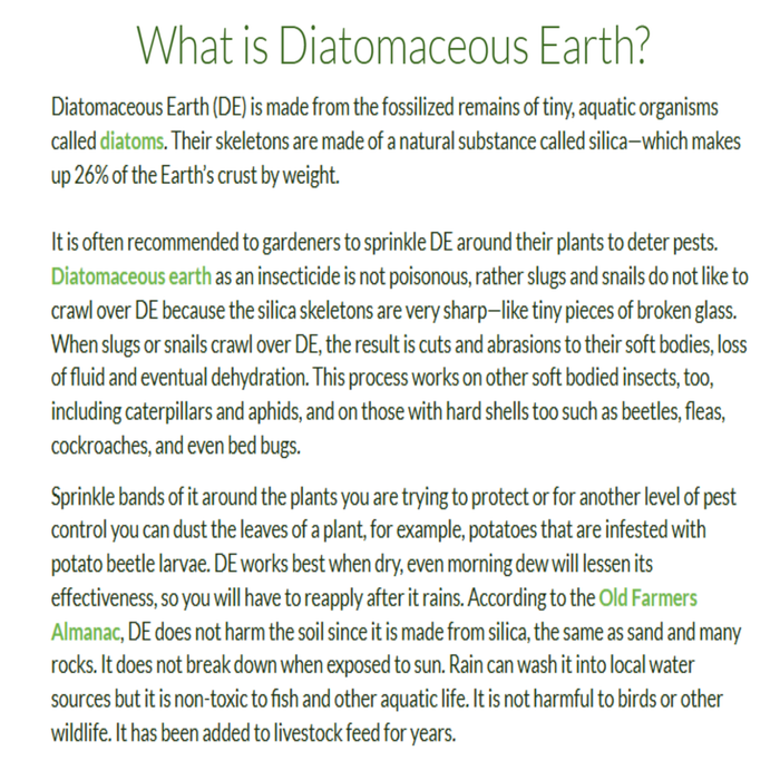 Diatomaceous Earth