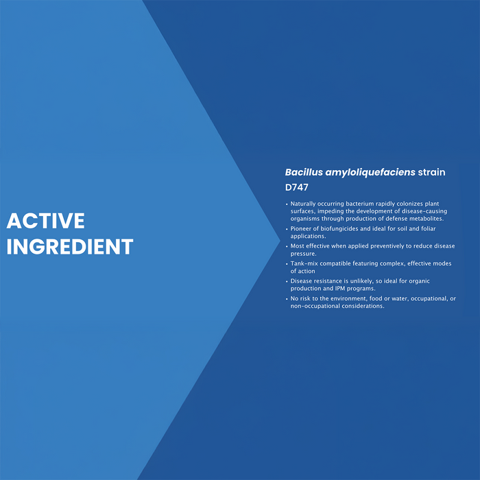 Double Nickel 55 Biofungicide