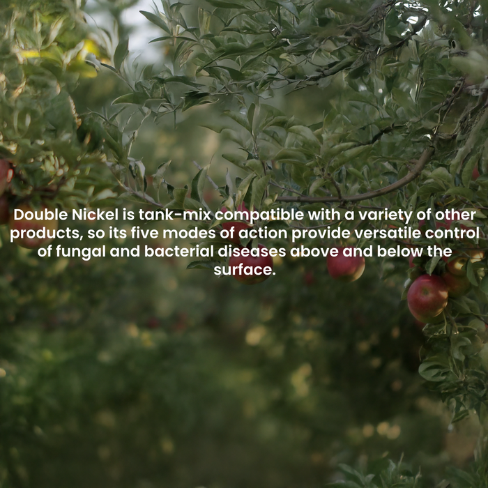 Double Nickel 55 Biofungicide