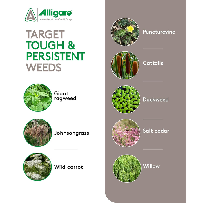 Ecomazapyr 2 SL Broad-Spectrum Herbicide