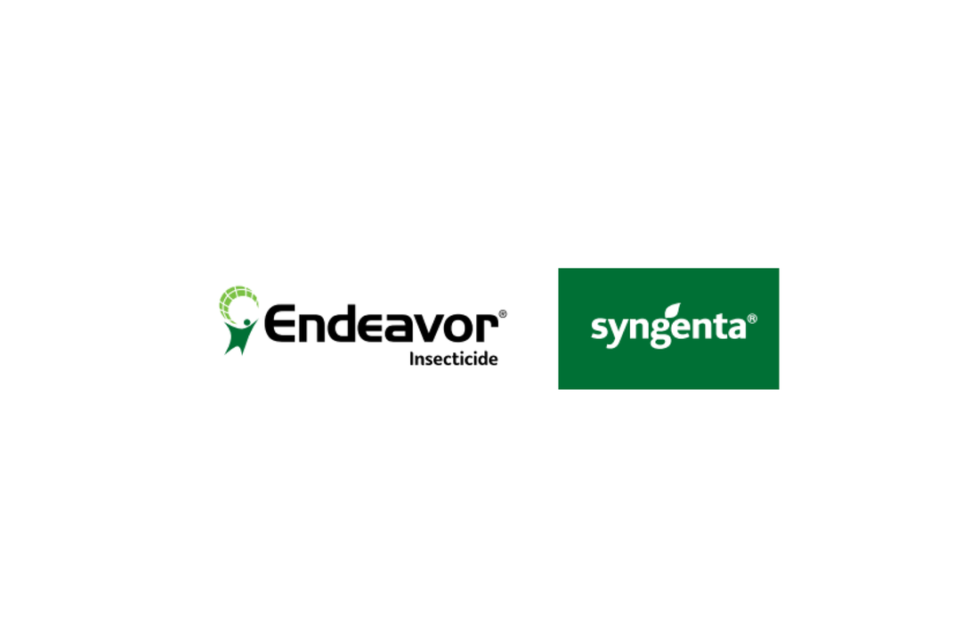 Endeavor Insecticide