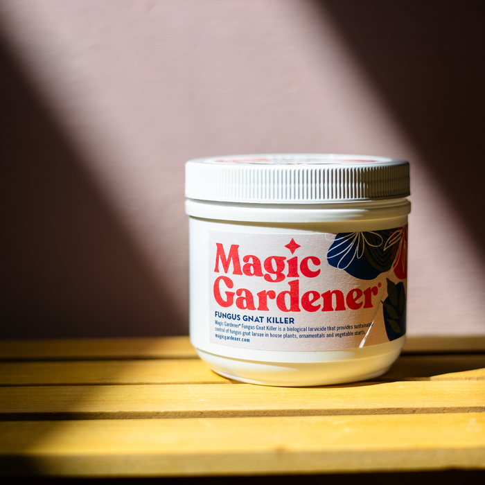 house plant gnat killer Magic Gardener Fungus Gnat Killer — HomeandGardenSupply.com