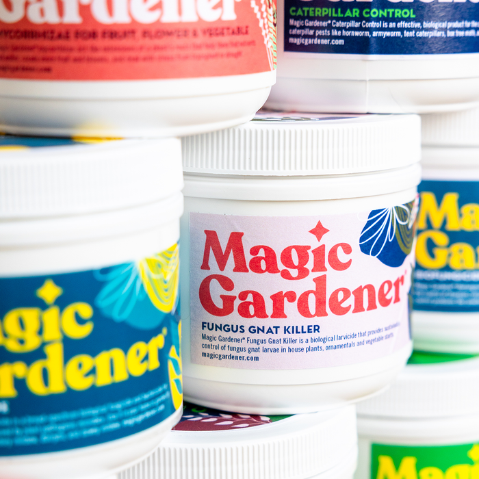 best fungus gnat killer for indoor plants Magic Gardener Fungus Gnat Killer — HomeandGardenSupply.com