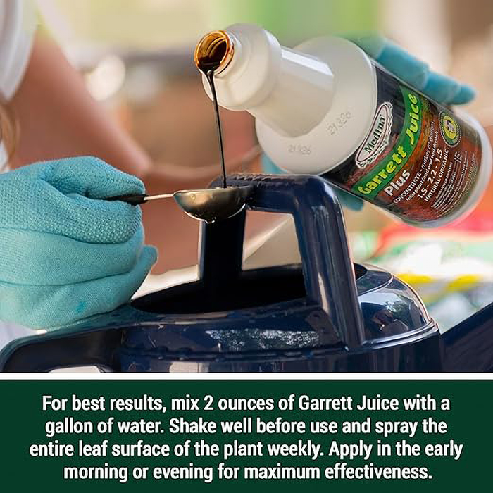 Garret Juice Plus