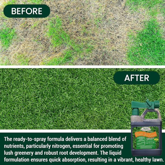 HastaGro 12-4-8 Liquid Lawn Food