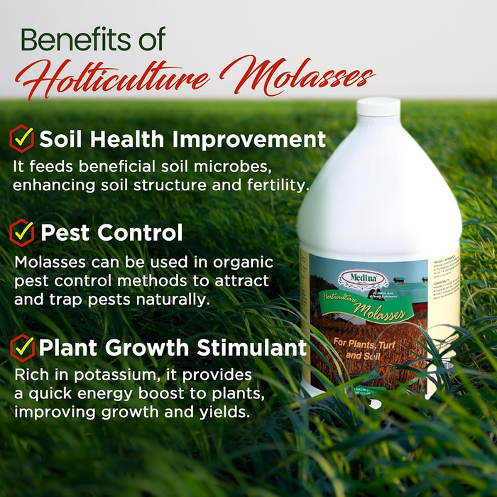 Horticulture Molasses