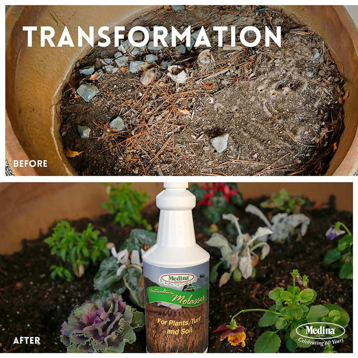 Horticulture Molasses