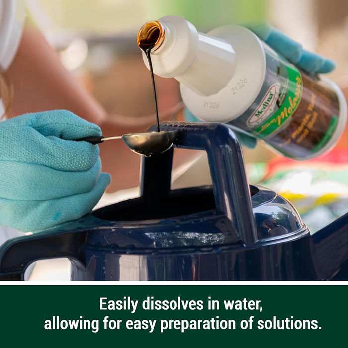 Horticulture Molasses