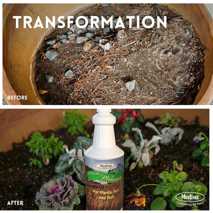 Horticulture Molasses