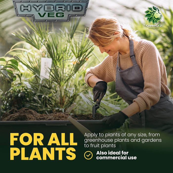 Hybrid Veg 12-12-12 Fertilizer