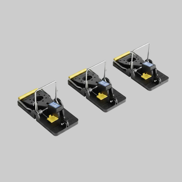 Snap-E Mousetrap