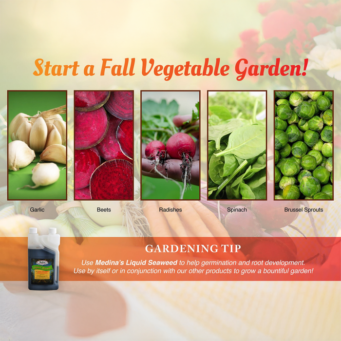 Liquid Seaweed Fertilizer