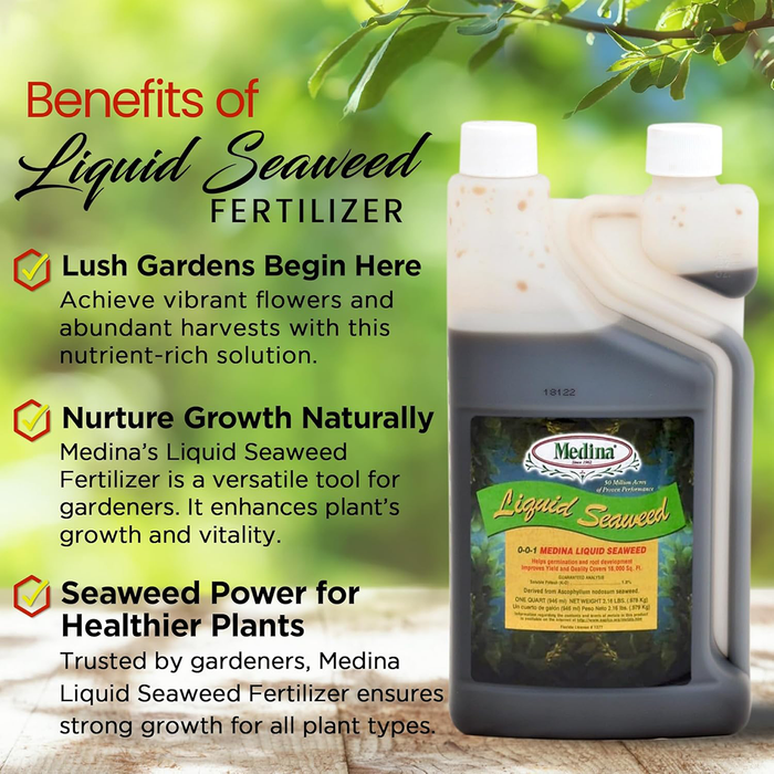 Liquid Seaweed Fertilizer