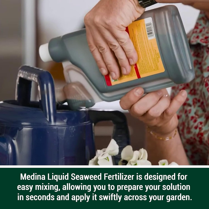 Liquid Seaweed Fertilizer
