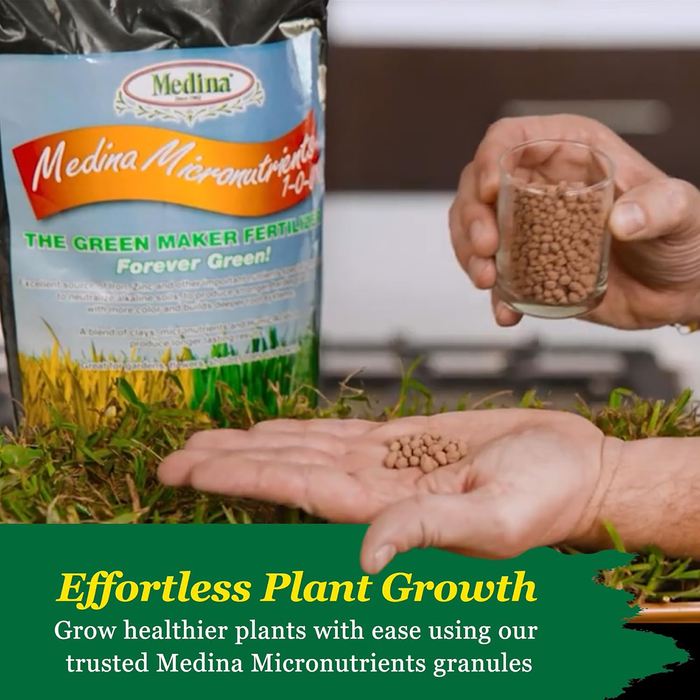 micronutrients fertilizer for plants Micronutrients 1-0-0 Granular Fertilizer — HomeandGardenSupply.com