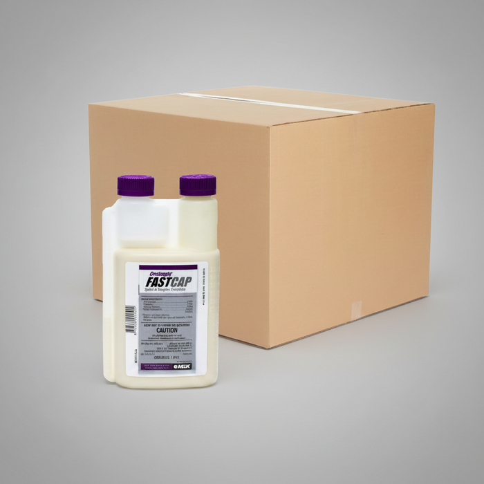 Onslaught FastCap Spider and Scorpion Insecticide