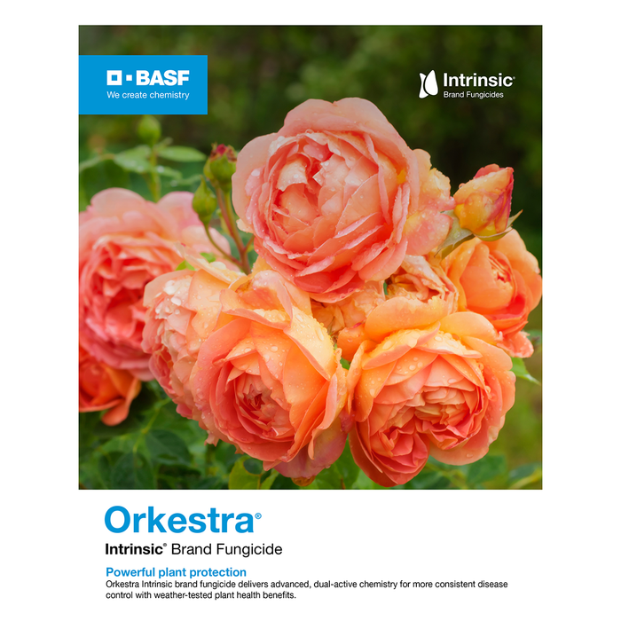 Orkestra Intrinsic Brand Fungicide