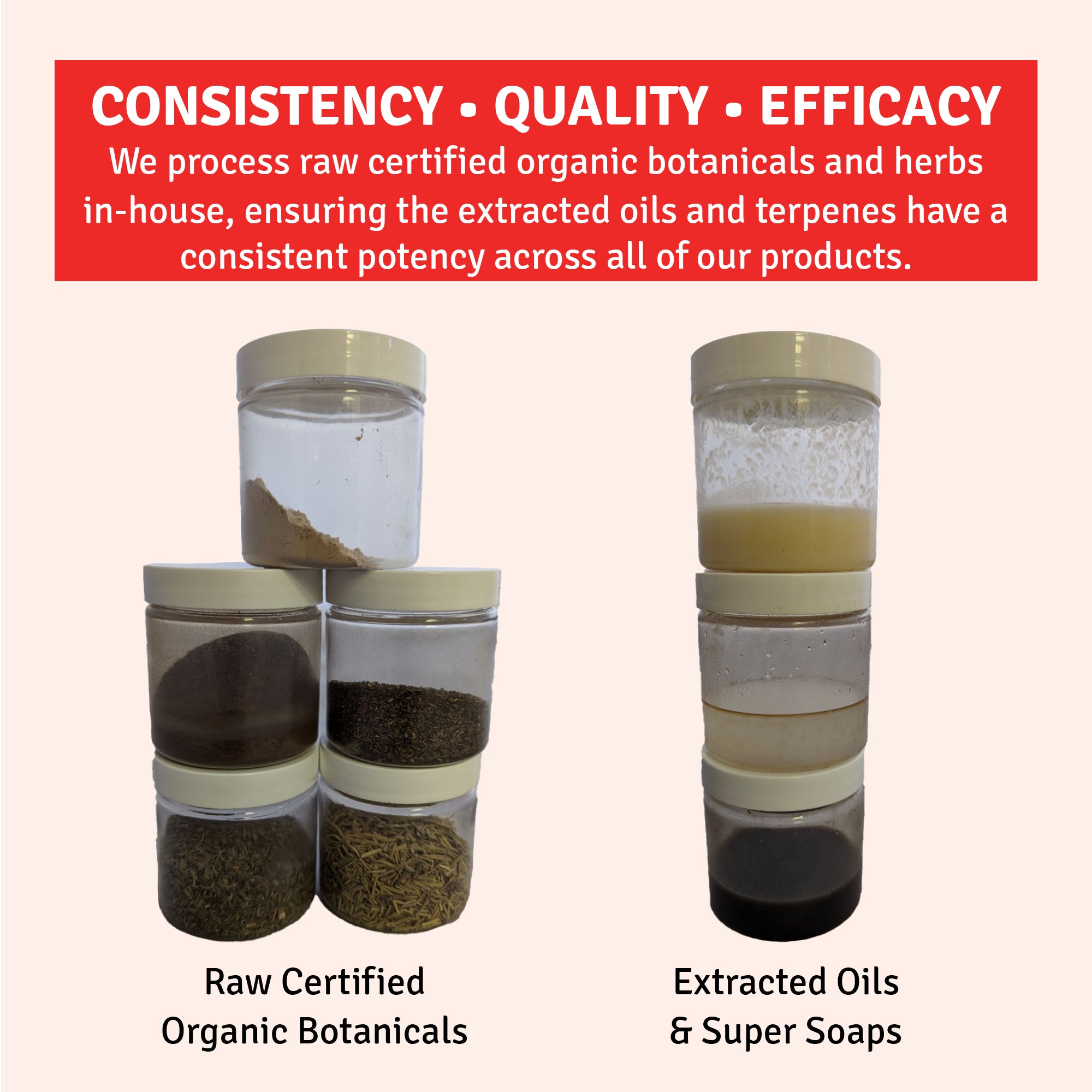 PC Insecticide RTU- OMRI Listed