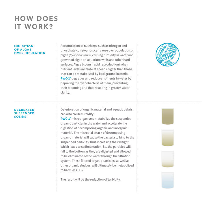 PWC-1 Biological Water Clarifier - Liquid Bacteria