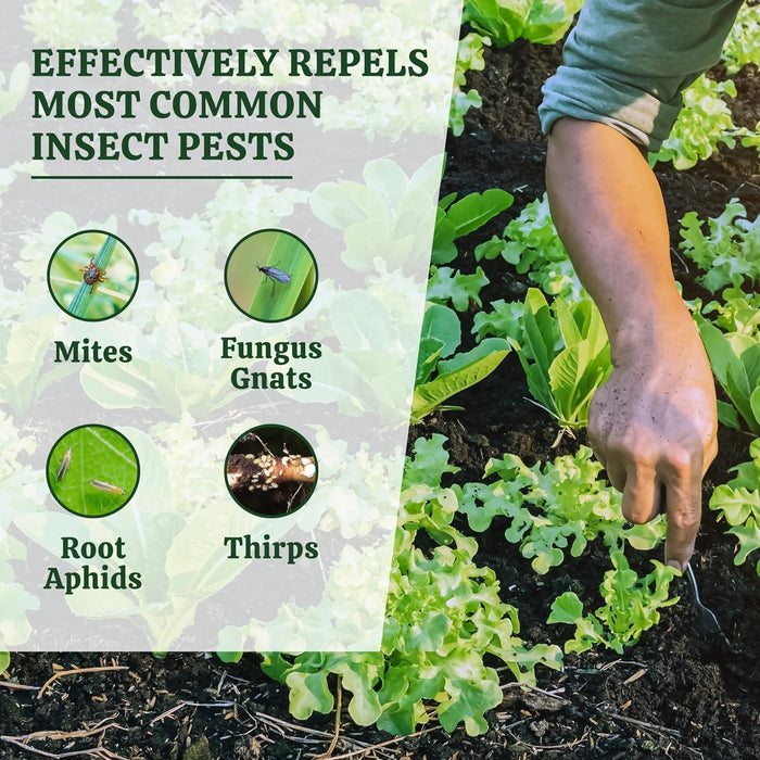 Pride Lands Defense - Soil Dwelling Insect Repellent