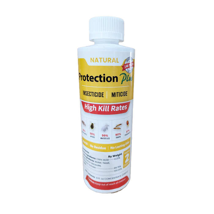 Protection Plus Insecticide