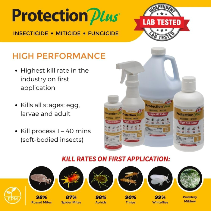 Protection Plus Insecticide