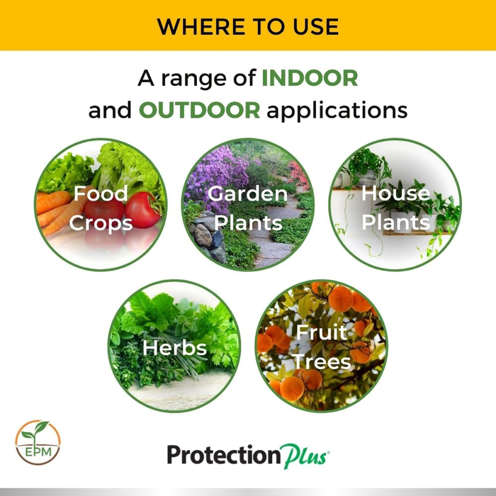 Protection Plus Insecticide