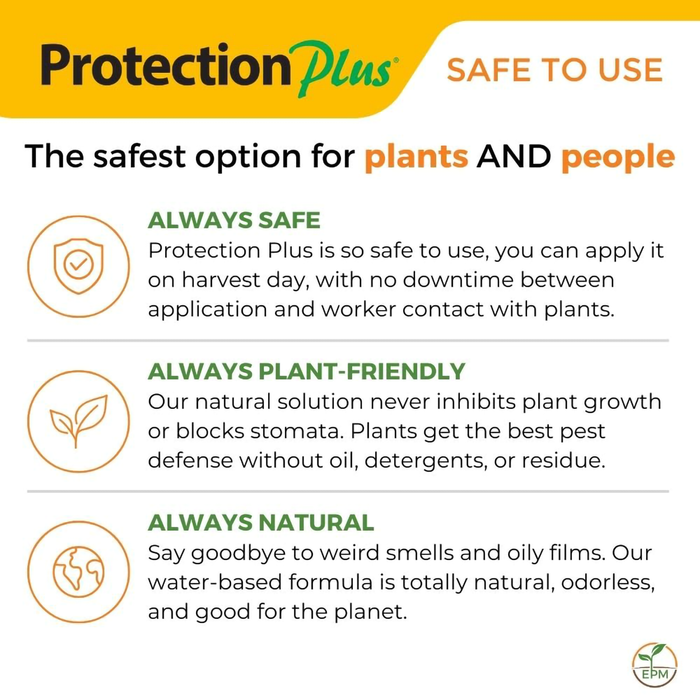 Protection Plus Insecticide