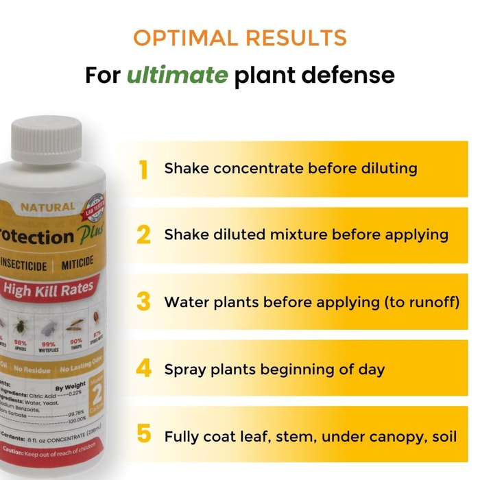 Protection Plus Insecticide